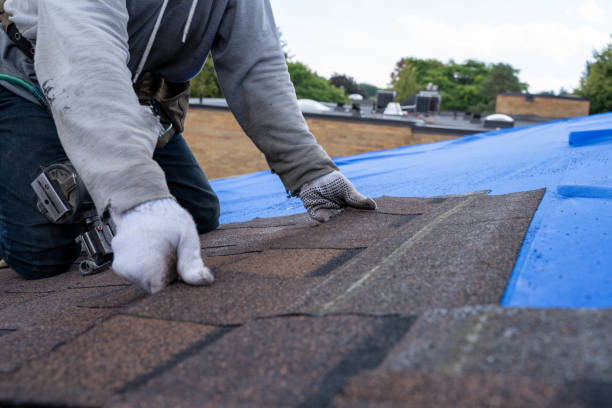 Fast & Reliable Emergency Roof Repairs in Mount Carmel, IL
